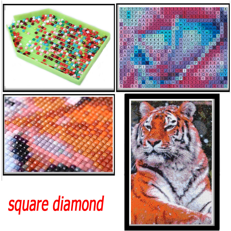 ชุดภาพวาดเพชรรูปดัชชุนด์สำหรับ - Resin Art For Beginner บทวิจารณ์และราคา